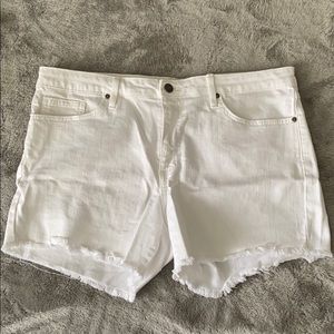 JustBlack white shorts